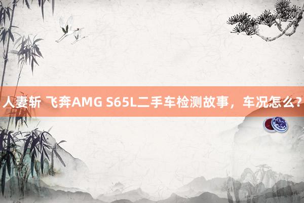 人妻斩 飞奔AMG S65L二手车检测故事，车况怎么？