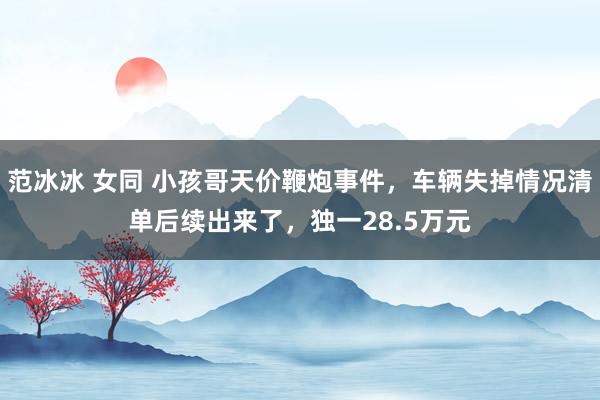 范冰冰 女同 小孩哥天价鞭炮事件，车辆失掉情况清单后续出来了，独一28.5万元