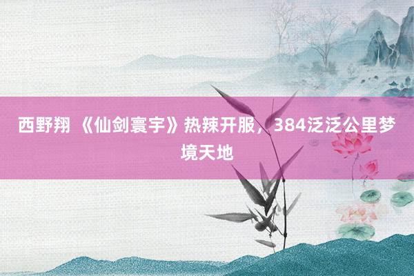 西野翔 《仙剑寰宇》热辣开服，384泛泛公里梦境天地