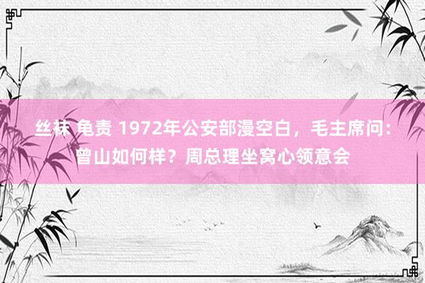 丝袜 龟责 1972年公安部漫空白，毛主席问：曾山如何样？周总理坐窝心领意会