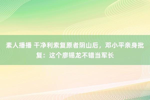 素人播播 干净利索复原者阴山后，邓小平亲身批复：这个廖锡龙不错当军长