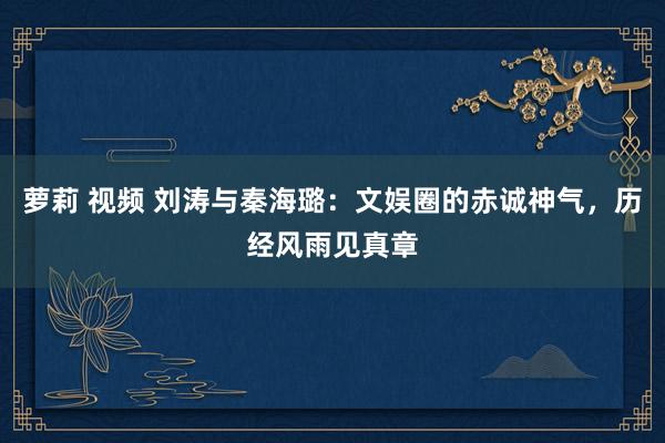 萝莉 视频 刘涛与秦海璐：文娱圈的赤诚神气，历经风雨见真章