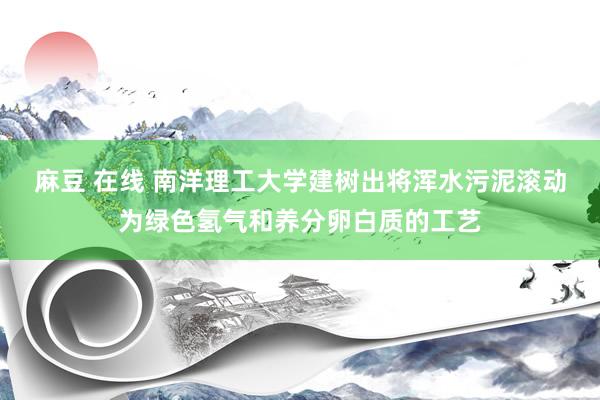 麻豆 在线 南洋理工大学建树出将浑水污泥滚动为绿色氢气和养分卵白质的工艺