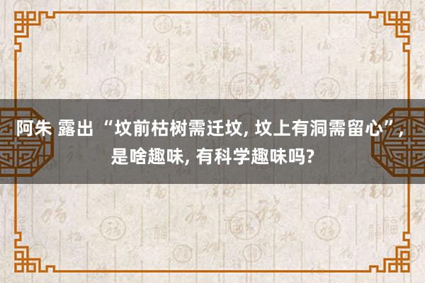 阿朱 露出 “坟前枯树需迁坟, 坟上有洞需留心”, 是啥趣味, 有科学趣味吗?