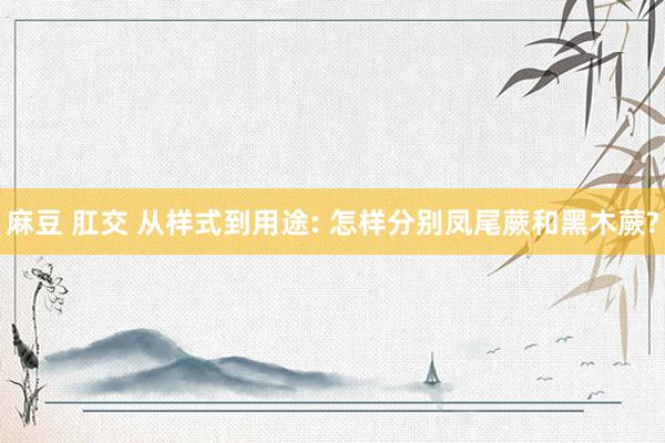 麻豆 肛交 从样式到用途: 怎样分别凤尾蕨和黑木蕨?