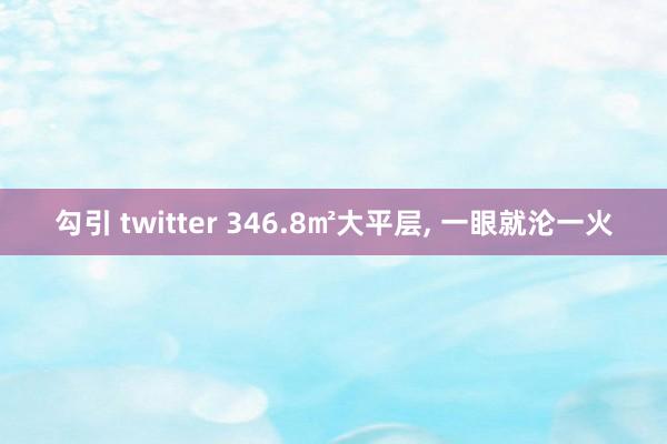 勾引 twitter 346.8㎡大平层, 一眼就沦一火