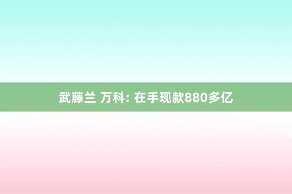 武藤兰 万科: 在手现款880多亿