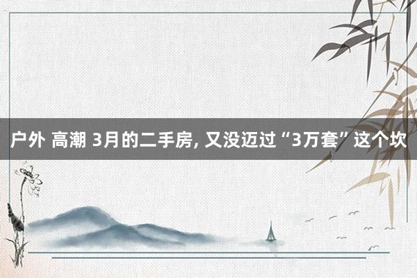户外 高潮 3月的二手房, 又没迈过“3万套”这个坎