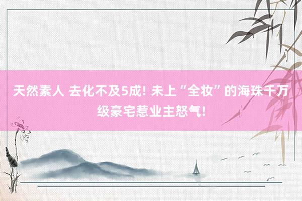 天然素人 去化不及5成! 未上“全妆”的海珠千万级豪宅惹业主怒气!
