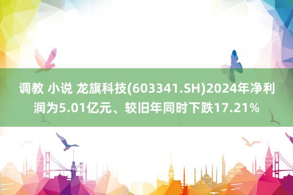 调教 小说 龙旗科技(603341.SH)2024年净利润为5.01亿元、较旧年同时下跌17.21%