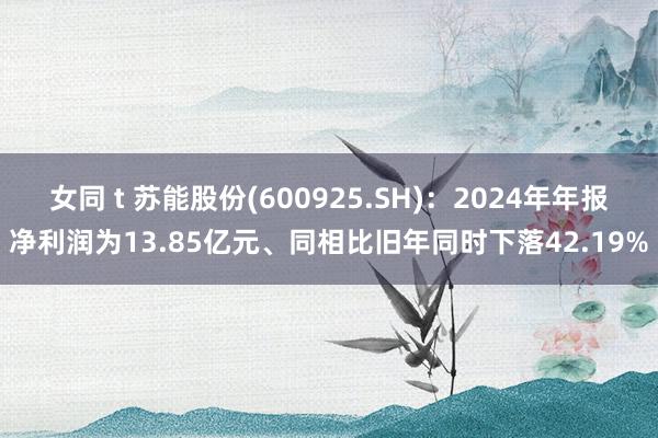 女同 t 苏能股份(600925.SH)：2024年年报净利润为13.85亿元、同相比旧年同时下落42.19%
