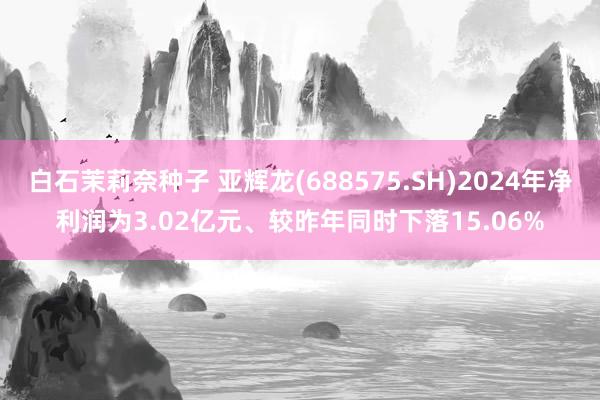 白石茉莉奈种子 亚辉龙(688575.SH)2024年净利润为3.02亿元、较昨年同时下落15.06%