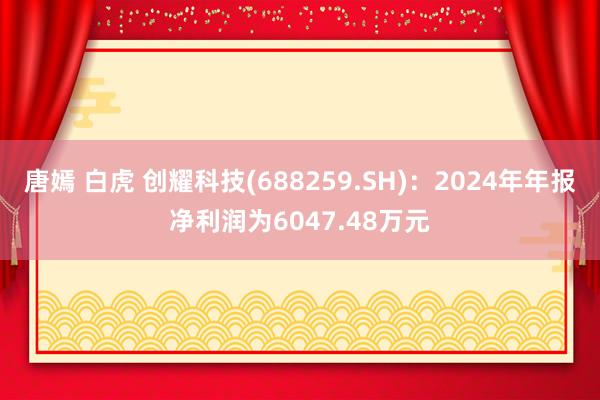 唐嫣 白虎 创耀科技(688259.SH)：2024年年报净利润为6047.48万元