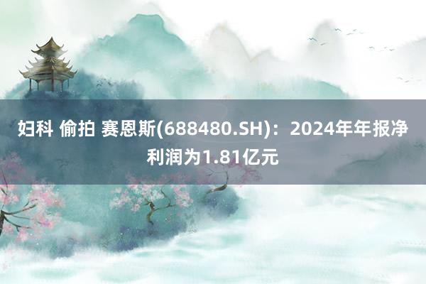 妇科 偷拍 赛恩斯(688480.SH)：2024年年报净利润为1.81亿元