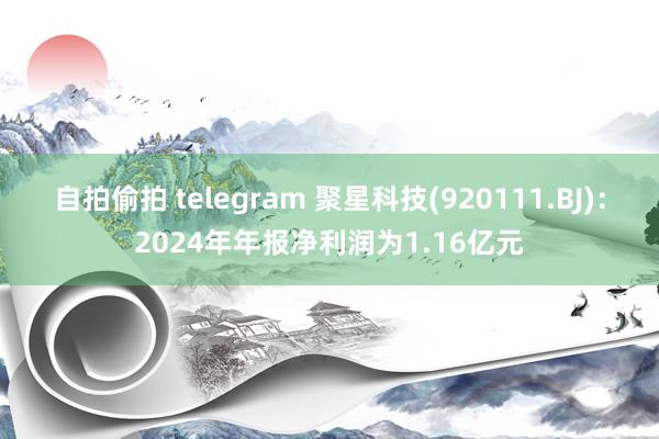 自拍偷拍 telegram 聚星科技(920111.BJ)：2024年年报净利润为1.16亿元