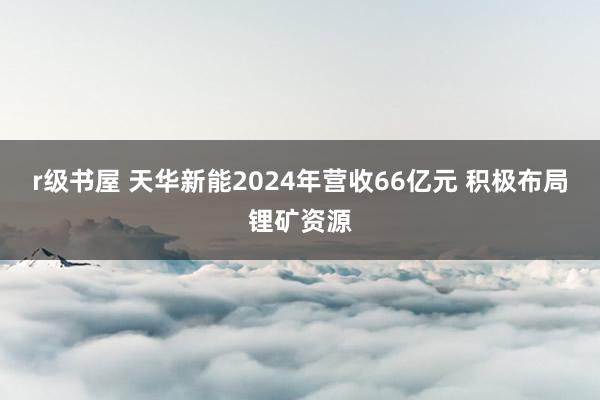 r级书屋 天华新能2024年营收66亿元 积极布局锂矿资源