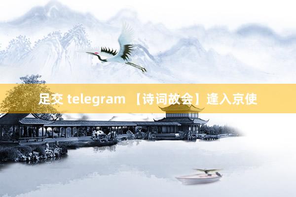 足交 telegram 【诗词故会】逢入京使
