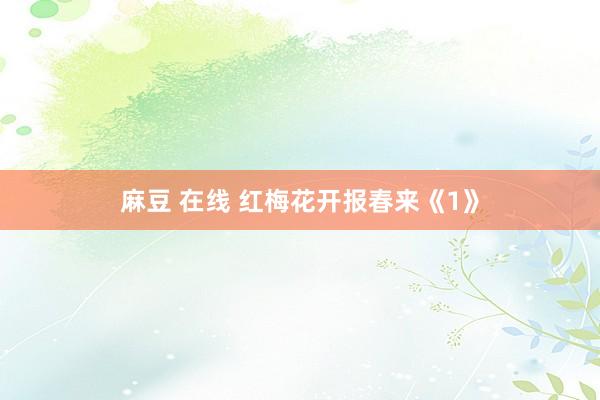 麻豆 在线 红梅花开报春来《1》