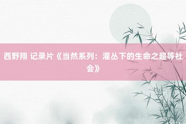 西野翔 记录片《当然系列：灌丛下的生命之超等社会》