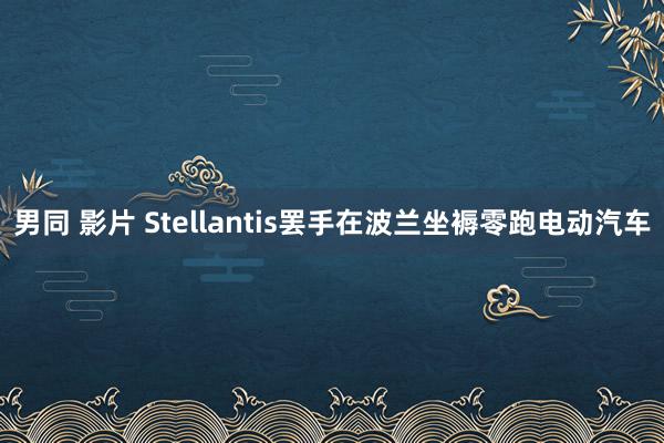 男同 影片 Stellantis罢手在波兰坐褥零跑电动汽车